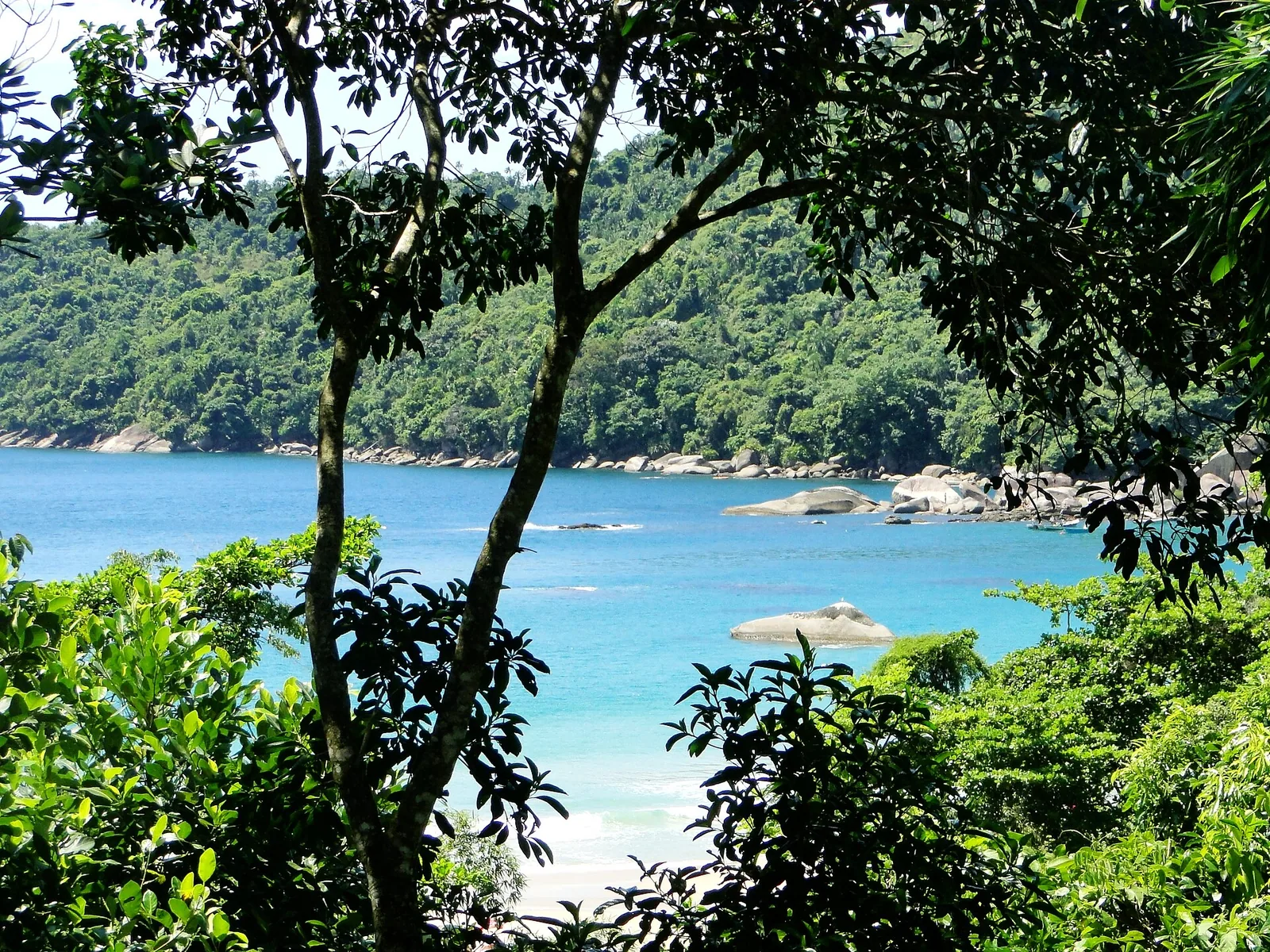 Trindade's natural tidal pool, a half-hour south of Paraty on the coast road.