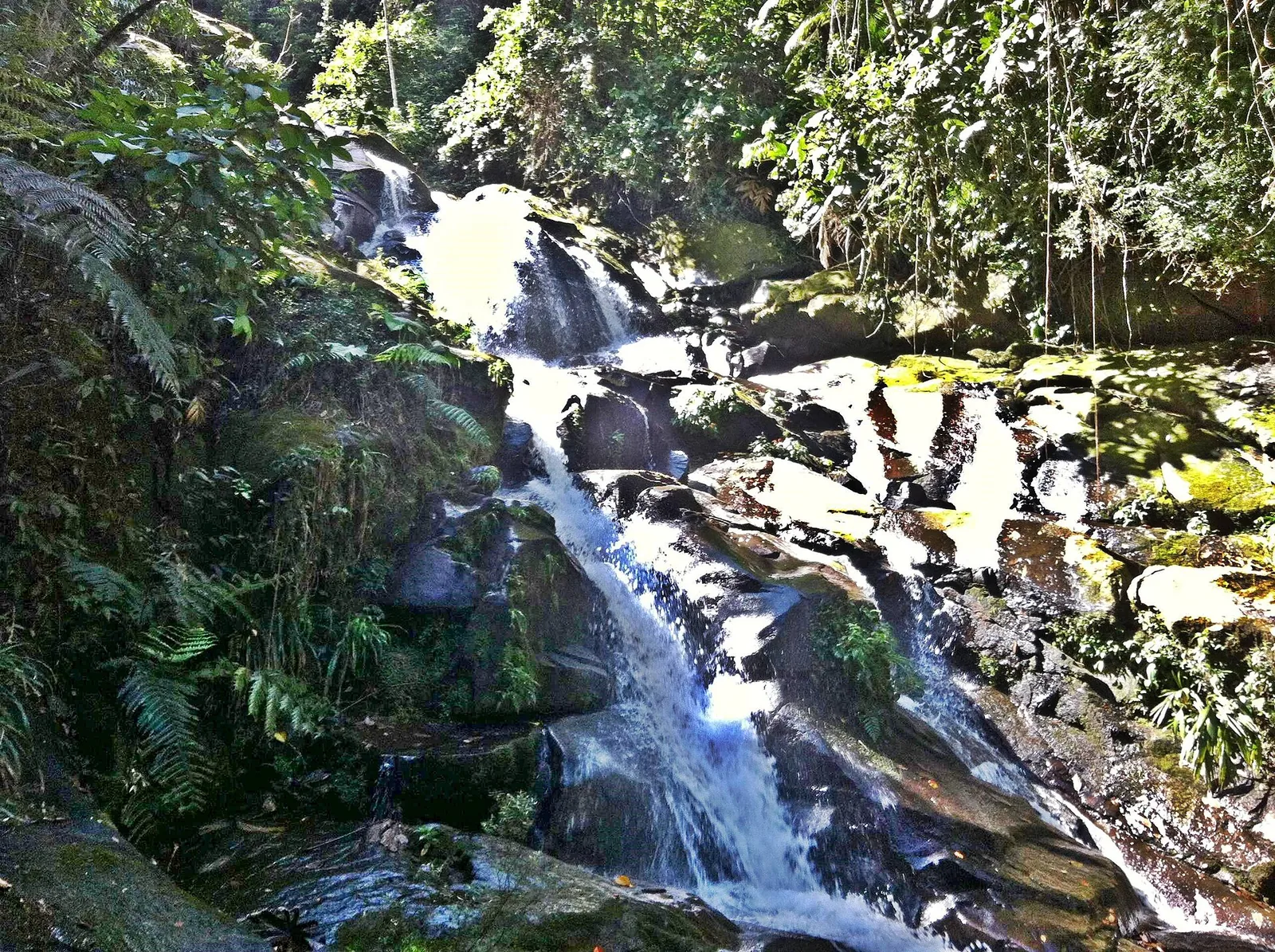 A forest waterfall on the road up toward the mountains, where overcast light actually helps.